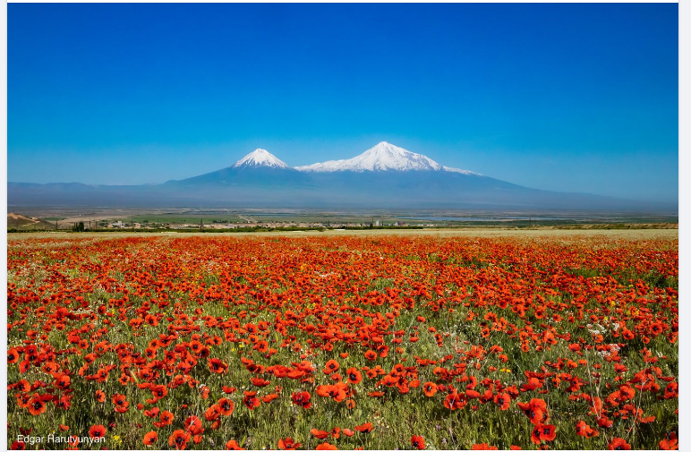 Гора Арарат